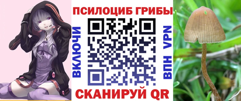 МЕГА рабочий сайт  Беслан  Псилоцибиновые грибы мицелий 