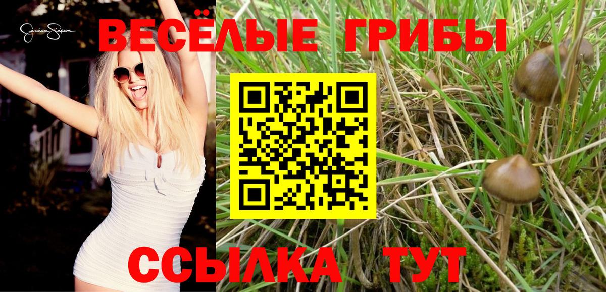 Беслан  Псилоцибиновые грибы прущие грибы  Вход с VPN  Псилоцибиновые грибы мицелий 
