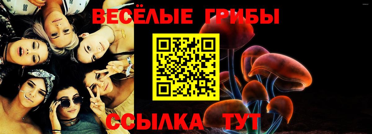 Галлюциногенные грибы Psilocybe Беслан