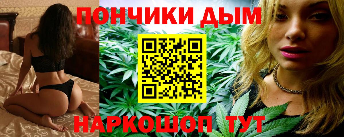 Канабис OG Kush Беслан