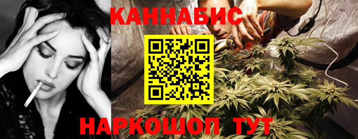 Марихуана OG Kush  Бошки Шишки тримм  Вход с VPN  Бошки марихуана тримм  Беслан 